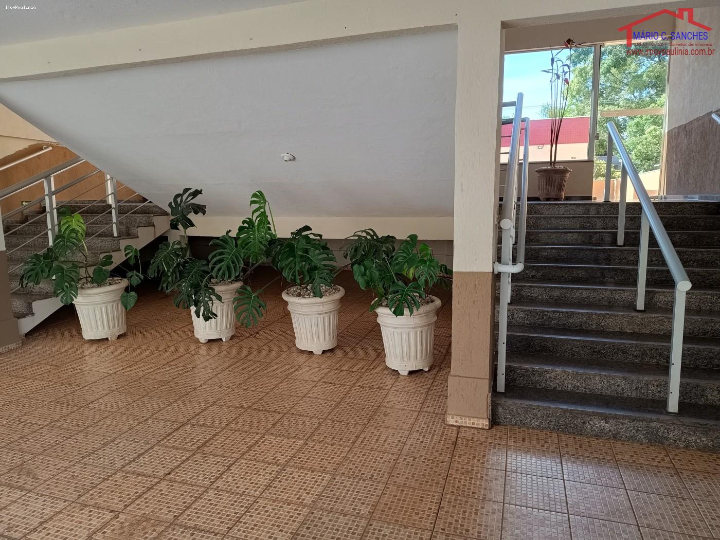 Apartamento, 3 quartos, 81 m² - Foto 21