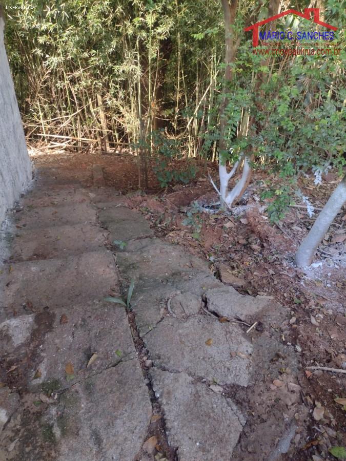 Chácara, 3 quartos, 2452 m² - Foto 19