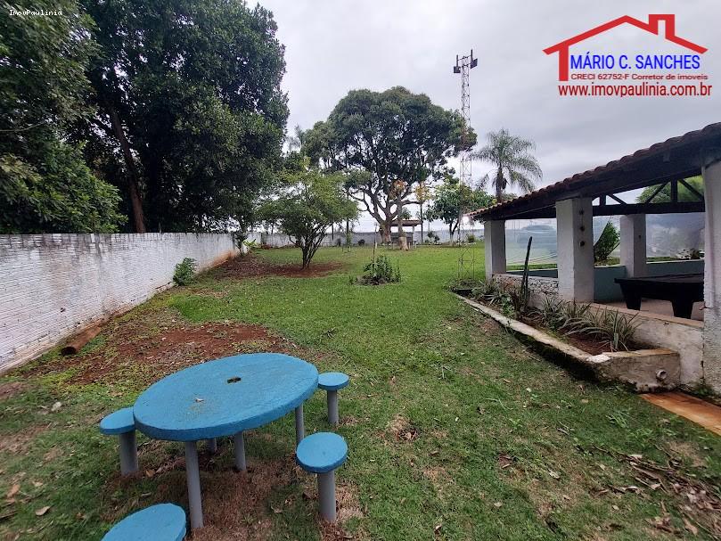 Chácara, 3 quartos, 2400 m² - Foto 5