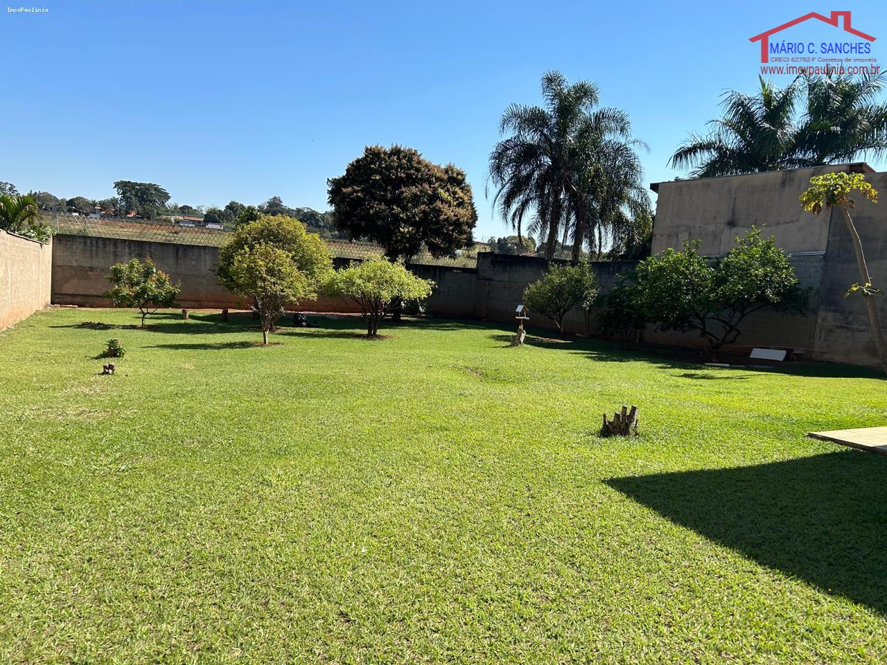 Fazenda, 1103 m² - Foto 8