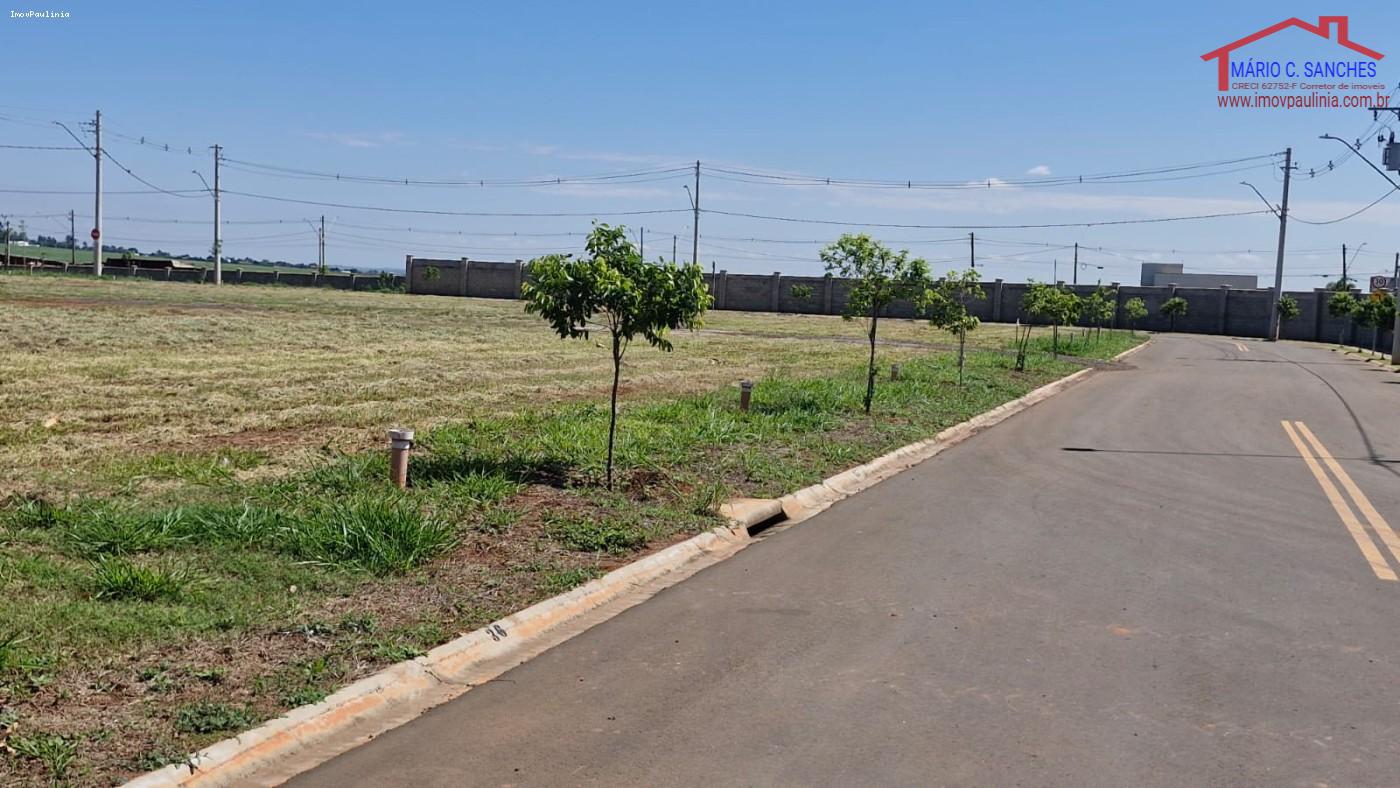 Terreno, 200 m² - Foto 15
