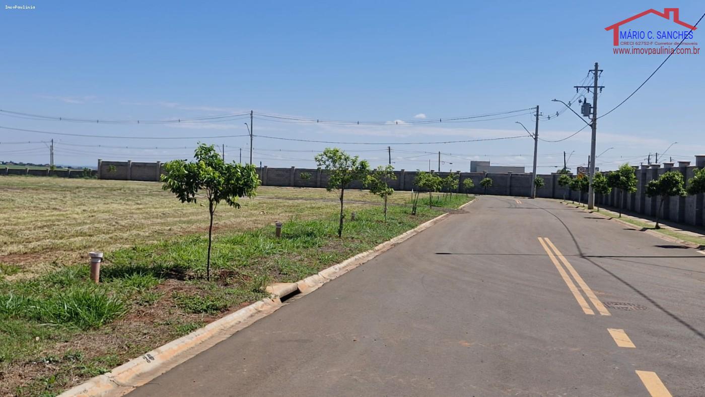 Terreno, 200 m² - Foto 13