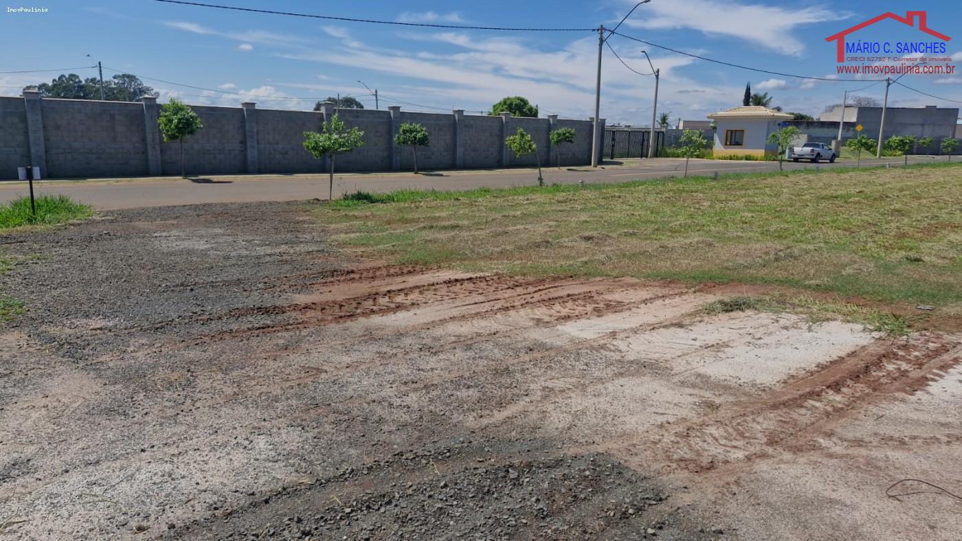 Terreno, 200 m² - Foto 14